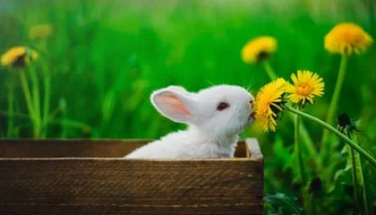 媒体区一阵骚动格列兹曼看了记分牌后沉默，全场哗然：球迷的截图太狠