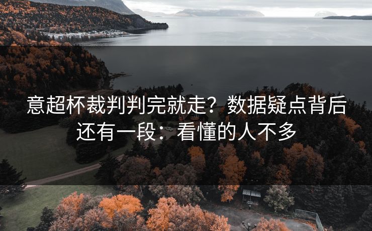 意超杯裁判判完就走？数据疑点背后还有一段：看懂的人不多