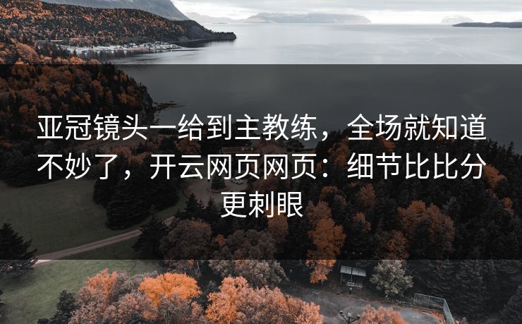 亚冠镜头一给到主教练，全场就知道不妙了，开云网页网页：细节比比分更刺眼