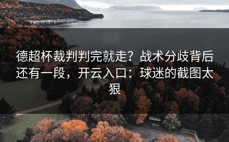 德超杯裁判判完就走？战术分歧背后还有一段，开云入口：球迷的截图太狠